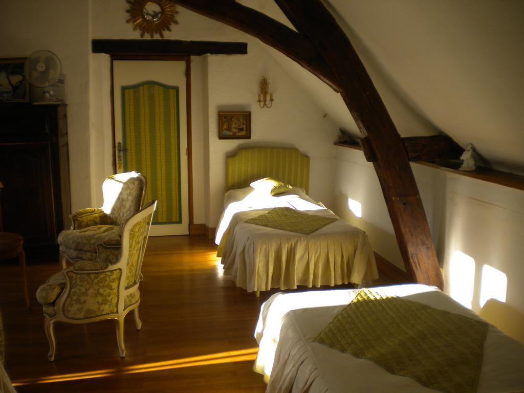 Le Moulin Garnier Bed and Breakfast Vernou-sur-Brenne Buitenkant foto